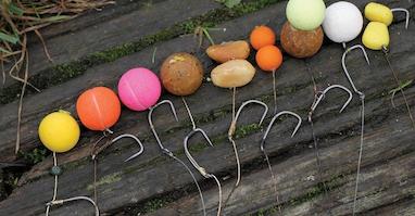  رفتار کپور در فصول مختلف