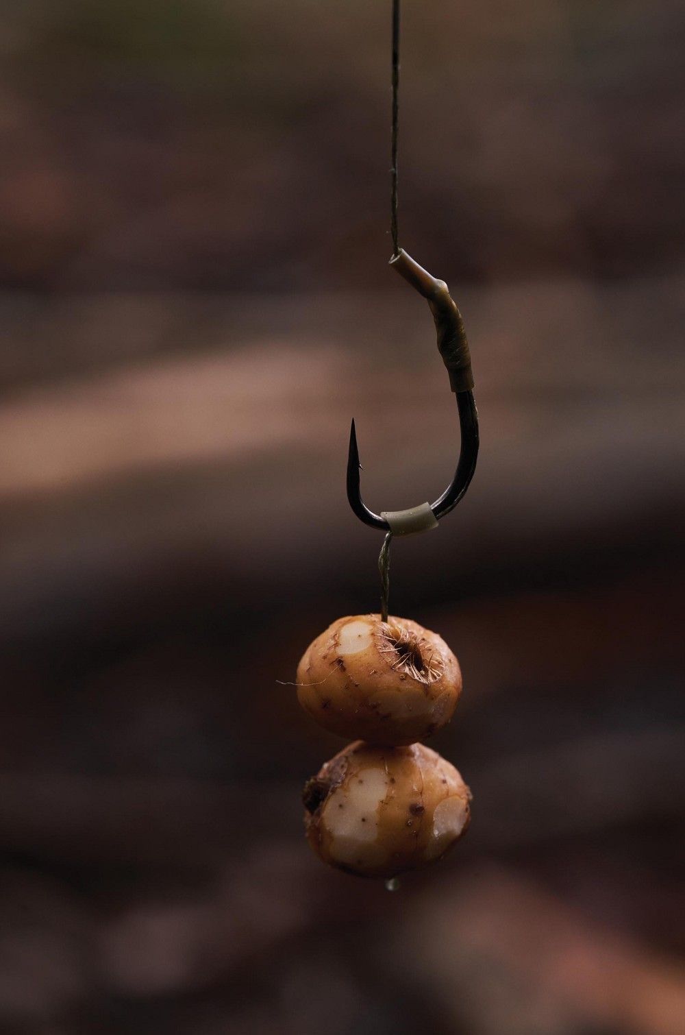 درباره کایزن